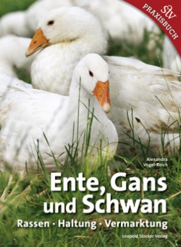 Ente_Gans_und_Schwan