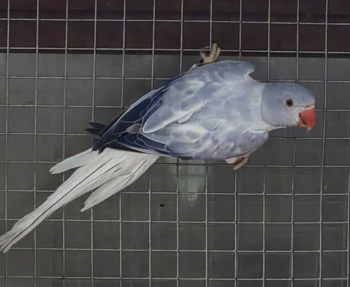 1000544193_list.jpg