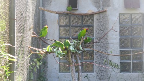 IMG_6806_list.jpg