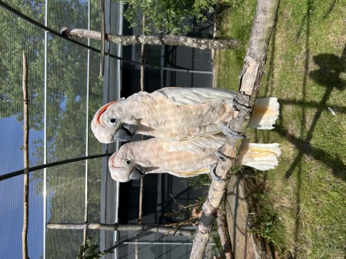 IMG_0494_0_list.jpeg