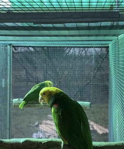 IMG_9352_0_list.jpeg